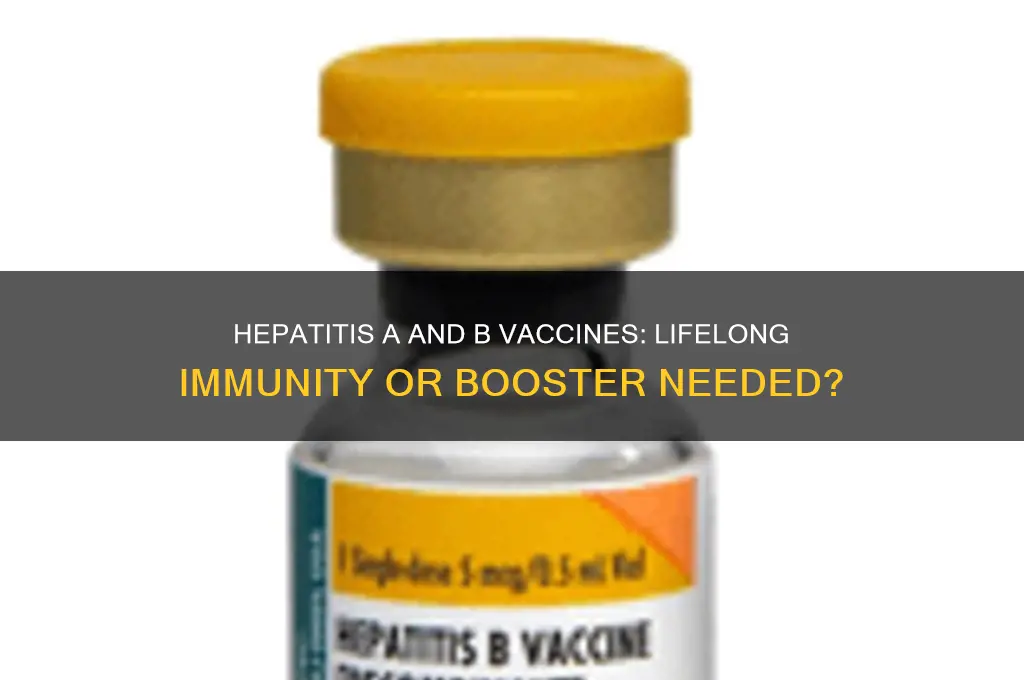 is hepatitis a and b vaccine for life