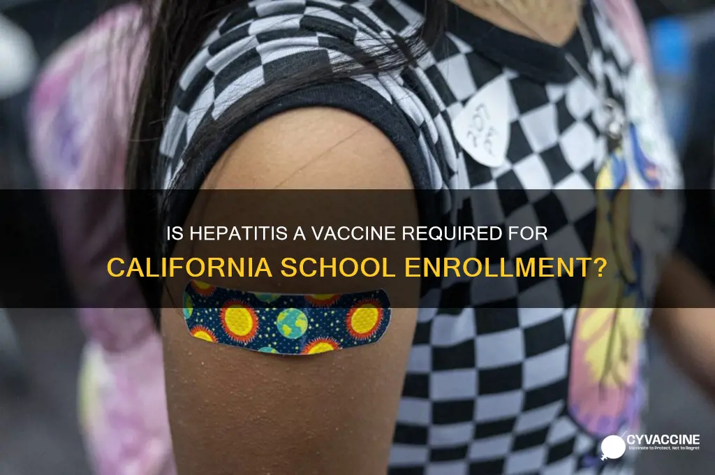 is hepatitis a vaccine mandatory for school in california
