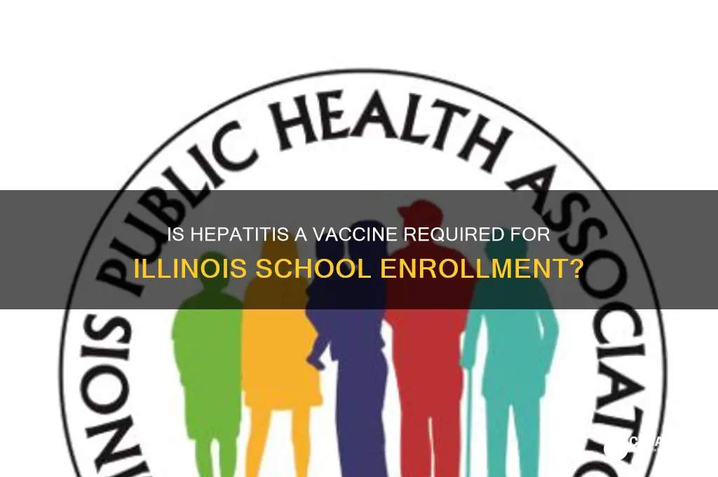 is hepatitis a vaccine mandatory for school in ill