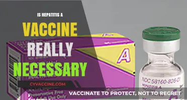 Exploring the Necessity of Hepatitis A Vaccination: A Comprehensive Guide
