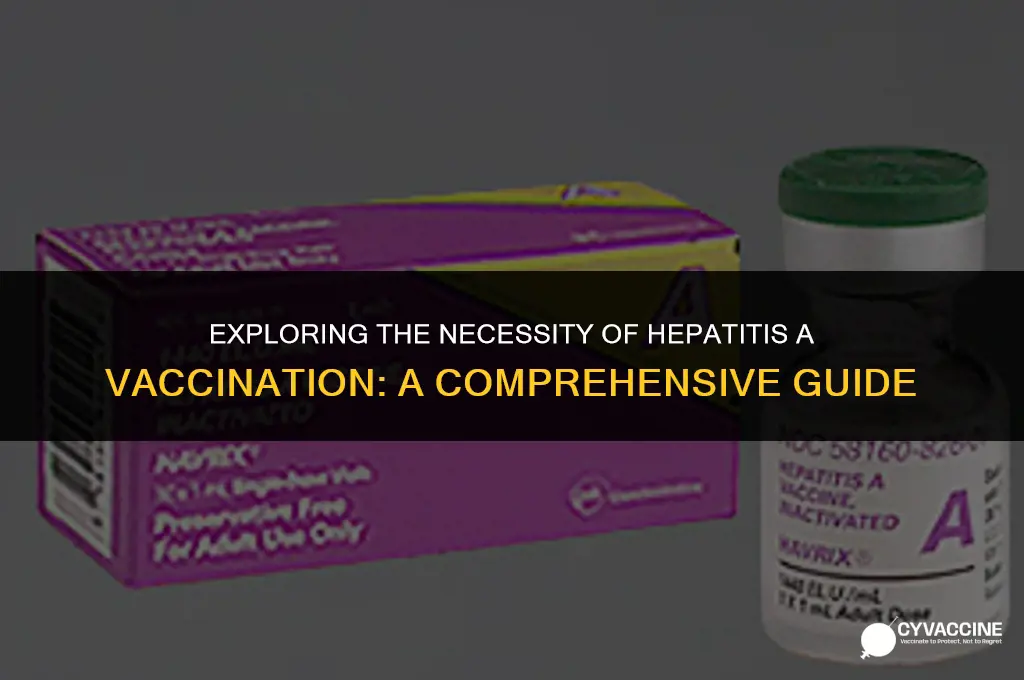 is hepatitis a vaccine really necessary