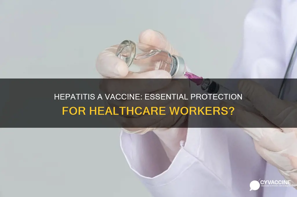 is hepatitis a vaccine recommended for healthcare workers