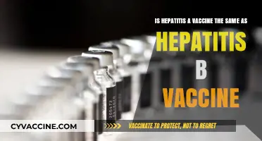 Hepatitis A vs. B Vaccines: Are They the Same?
