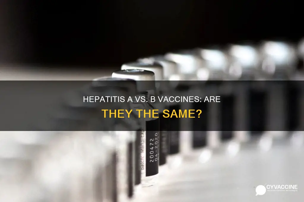 is hepatitis a vaccine the same as hepatitis b vaccine