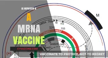 Exploring the Science: Is Hepatitis B an mRNA Vaccine?