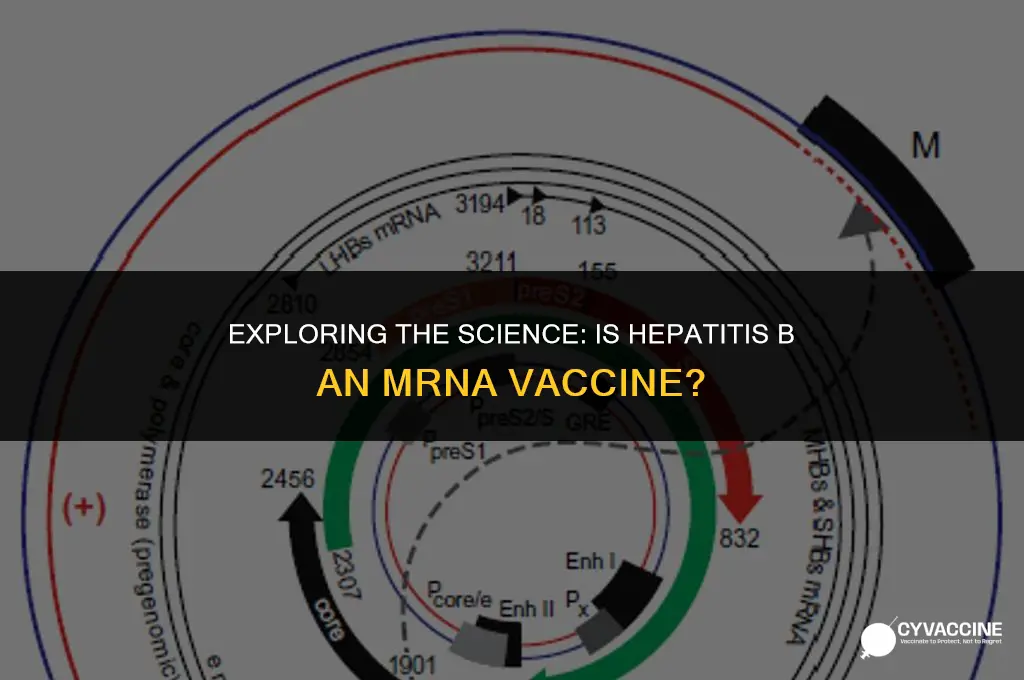 is hepatitis b a mrna vaccine
