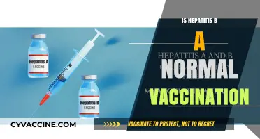 Understanding Hepatitis B Vaccination: Is It a Routine Immunization?