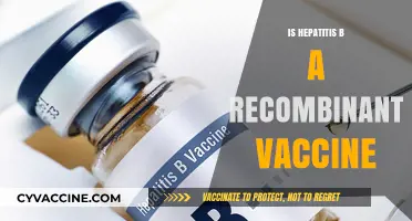 Exploring Hepatitis B: The Science Behind Recombinant Vaccines