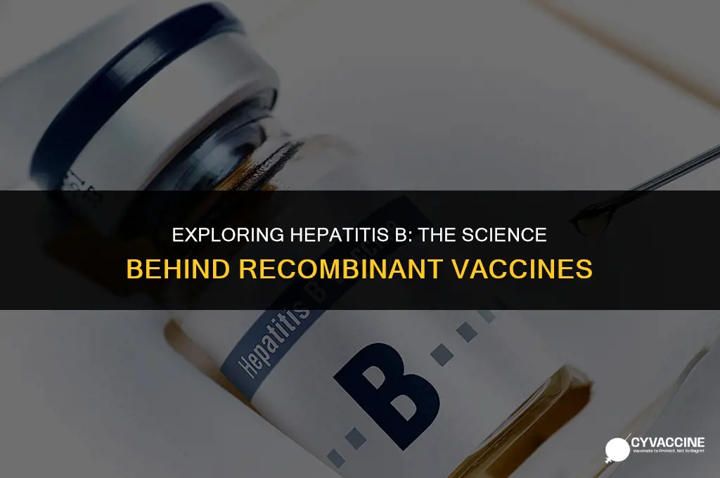 is hepatitis b a recombinant vaccine