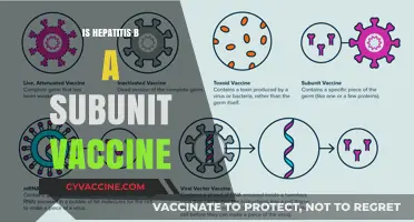 Understanding Hepatitis B Vaccination: The Subunit Approach