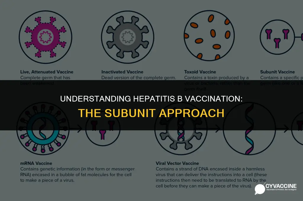 is hepatitis b a subunit vaccine