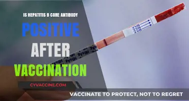 Hepatitis B Core Antibody Positive Post-Vaccination: What Does It Mean?