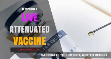 Exploring the Effectiveness of Live Attenuated Hepatitis B Vaccines