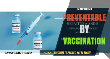 Protecting Against Hepatitis B: The Power of Vaccination