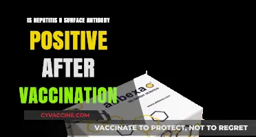 Hepatitis B Surface Antibody: Post-Vaccination Positivity Explained
