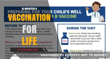 Lifelong Immunity: The Truth About Hepatitis B Vaccination
