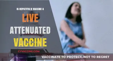 Is the Hepatitis B Vaccine Live Attenuated? Facts Revealed