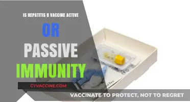 Hepatitis B Vaccine: Active vs. Passive Immunity Explained