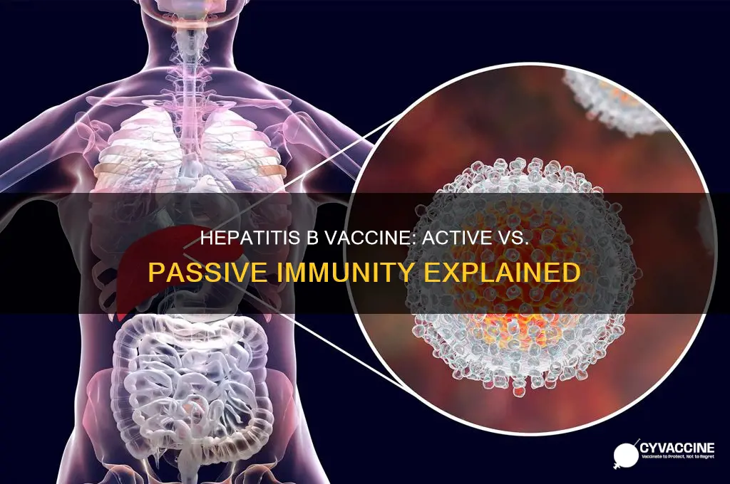is hepatitis b vaccine active or passive immunity