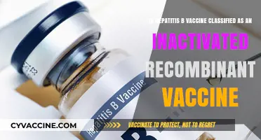 Is Hepatitis B Vaccine an Inactivated Recombinant Vaccine?
