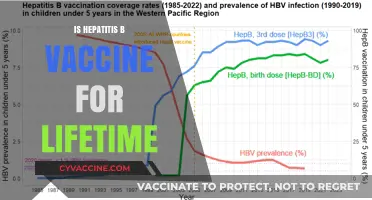 Lifetime Protection: The Truth About Hepatitis B Vaccination