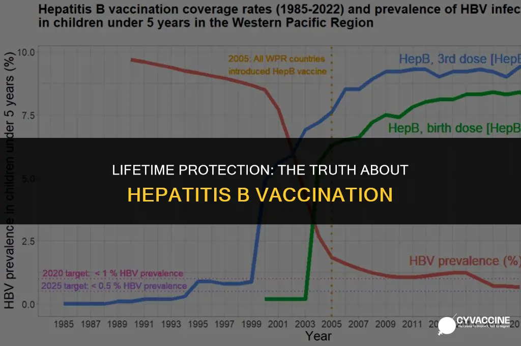 is hepatitis b vaccine for lifetime