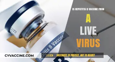 Is the Hepatitis B Vaccine Made from a Live Virus?