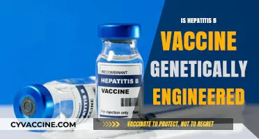 Exploring the Genetic Engineering Behind Hepatitis B Vaccines