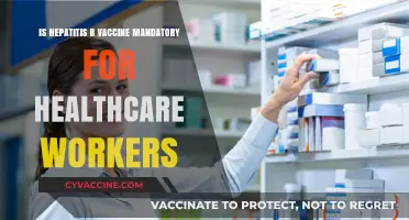 Hepatitis B Vaccine: Mandatory Requirement for Healthcare Workers?