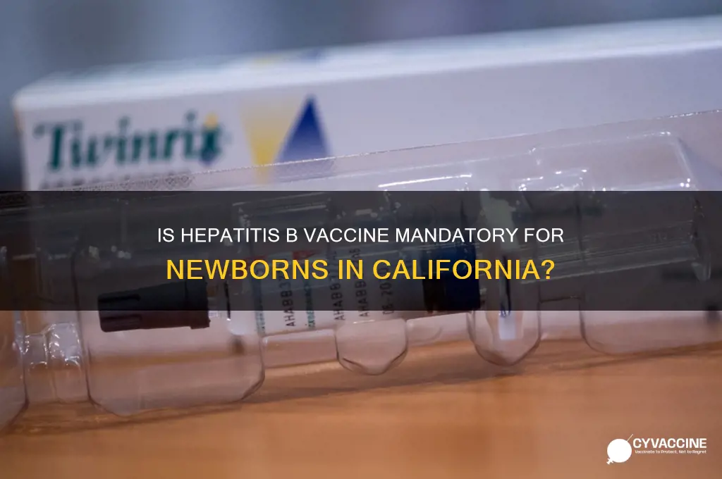 is hepatitis b vaccine mandatory for newborns in california