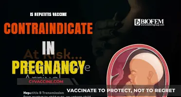 Hepatitis Vaccine Safety During Pregnancy: What You Need to Know