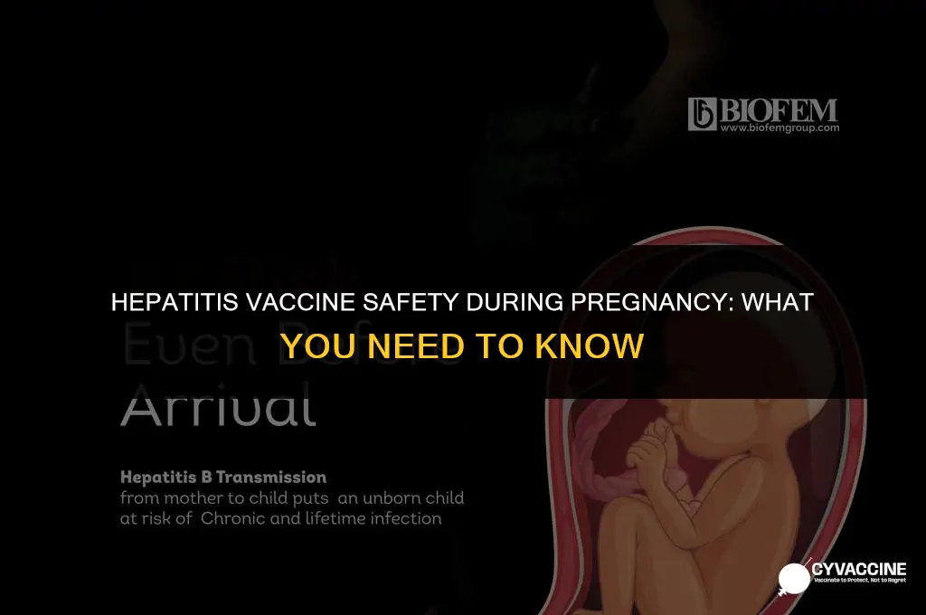 is hepatitis vaccine contraindicated in pregnancy