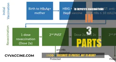 Understanding Hepatitis Vaccinations: A Comprehensive Guide to the 3-Part Series