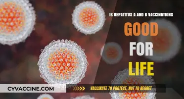 Hepatitis A & B Vaccines: Lifelong Immunity or Periodic Booster Need?