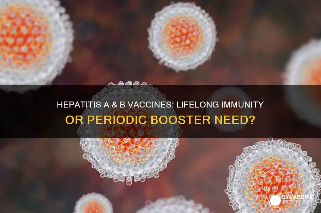 is hepatitus a and b vaccinations good for life