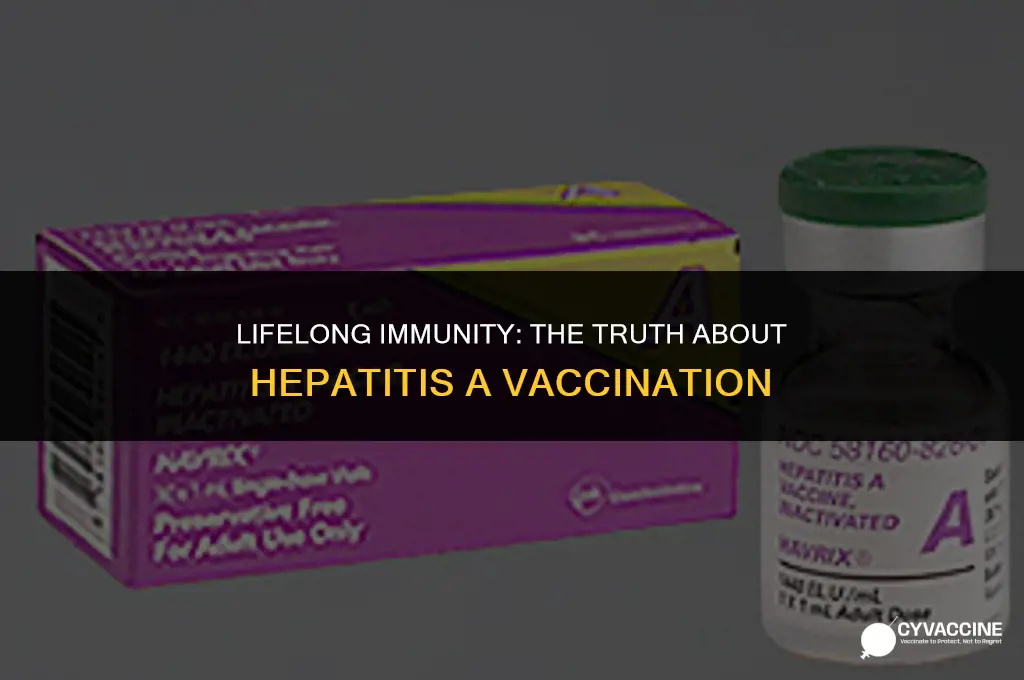 is hepatitus a vaccine for life