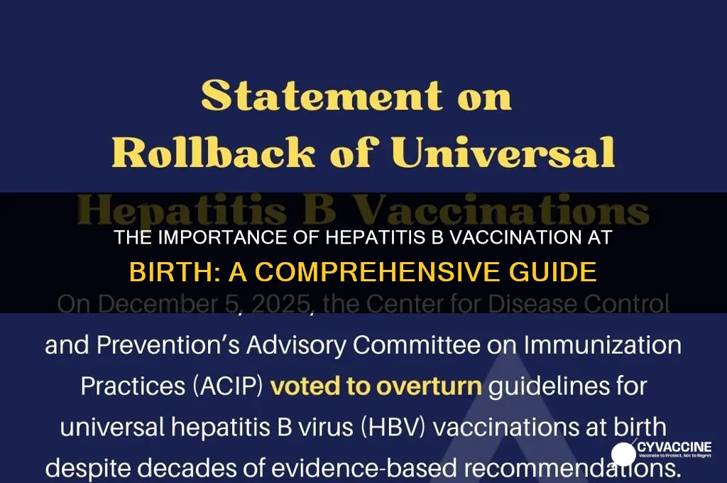 is hepb vaccine necessary at birth