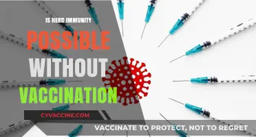 Exploring Herd Immunity: Alternatives Beyond Vaccination