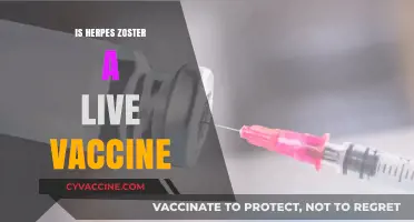 Understanding Herpes Zoster: The Facts About Live Vaccines