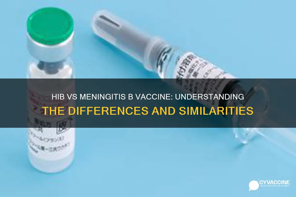 is hib the same as meningitis b vaccine