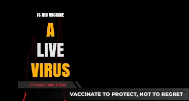 Understanding the HIB Vaccine: Is It a Live Virus?