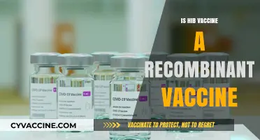 Exploring the Science: Is the Hib Vaccine a Recombinant Vaccine?