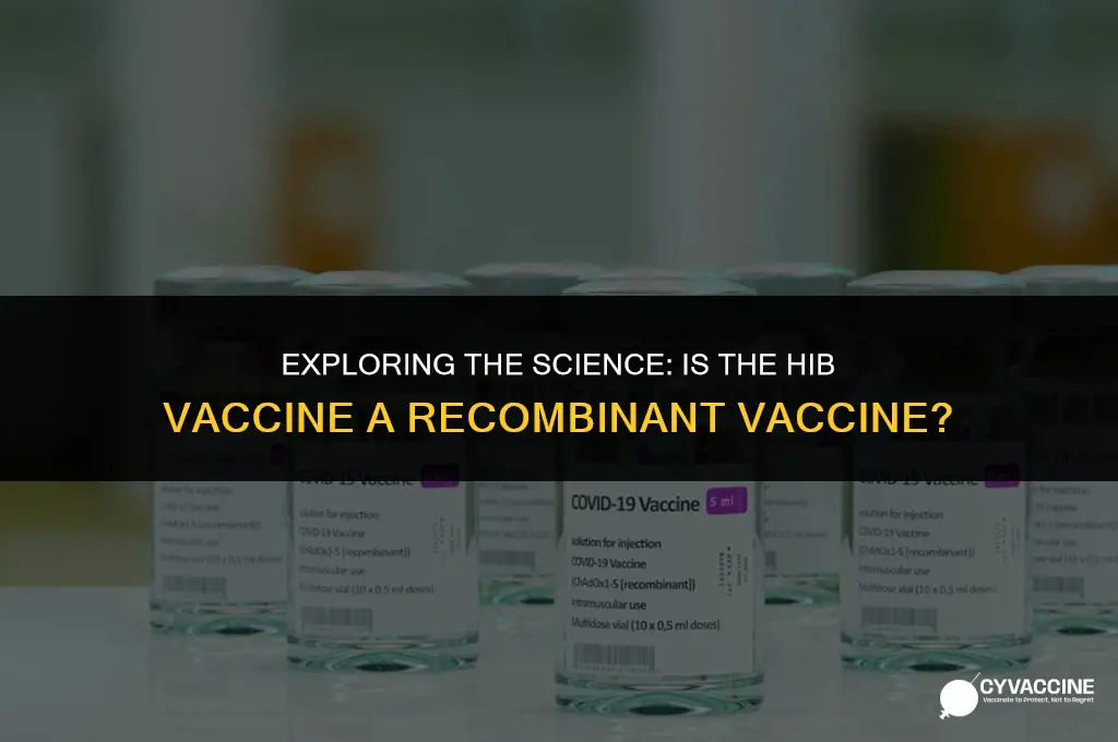 is hib vaccine a recombinant vaccine