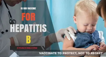 Understanding the Hib Vaccine: Is It Linked to Hepatitis B Protection?
