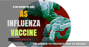 Hib vs. Influenza Vaccine: Understanding the Key Differences