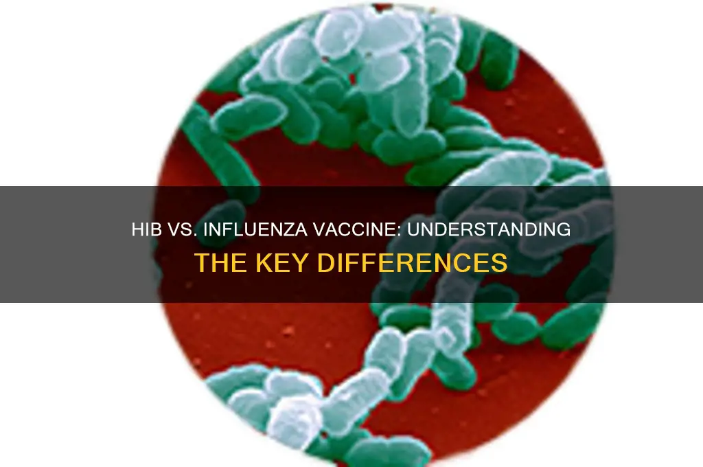 is hib vaccine the same as influenza vaccine