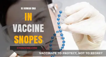 Debunking Myths: The Truth About Human DNA in Vaccines
