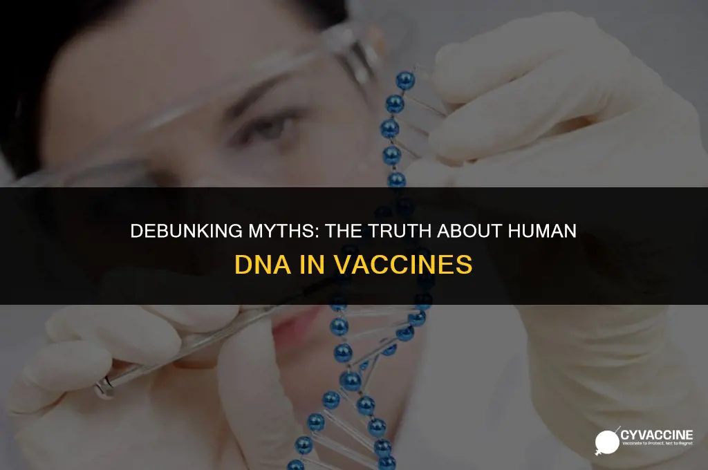 is human dna in vaccine snopes