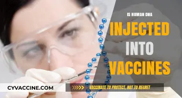 Unraveling the Myth: Human DNA in Vaccines - A Scientific Perspective