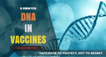 Exploring the Science: Human Fetal DNA in Vaccines